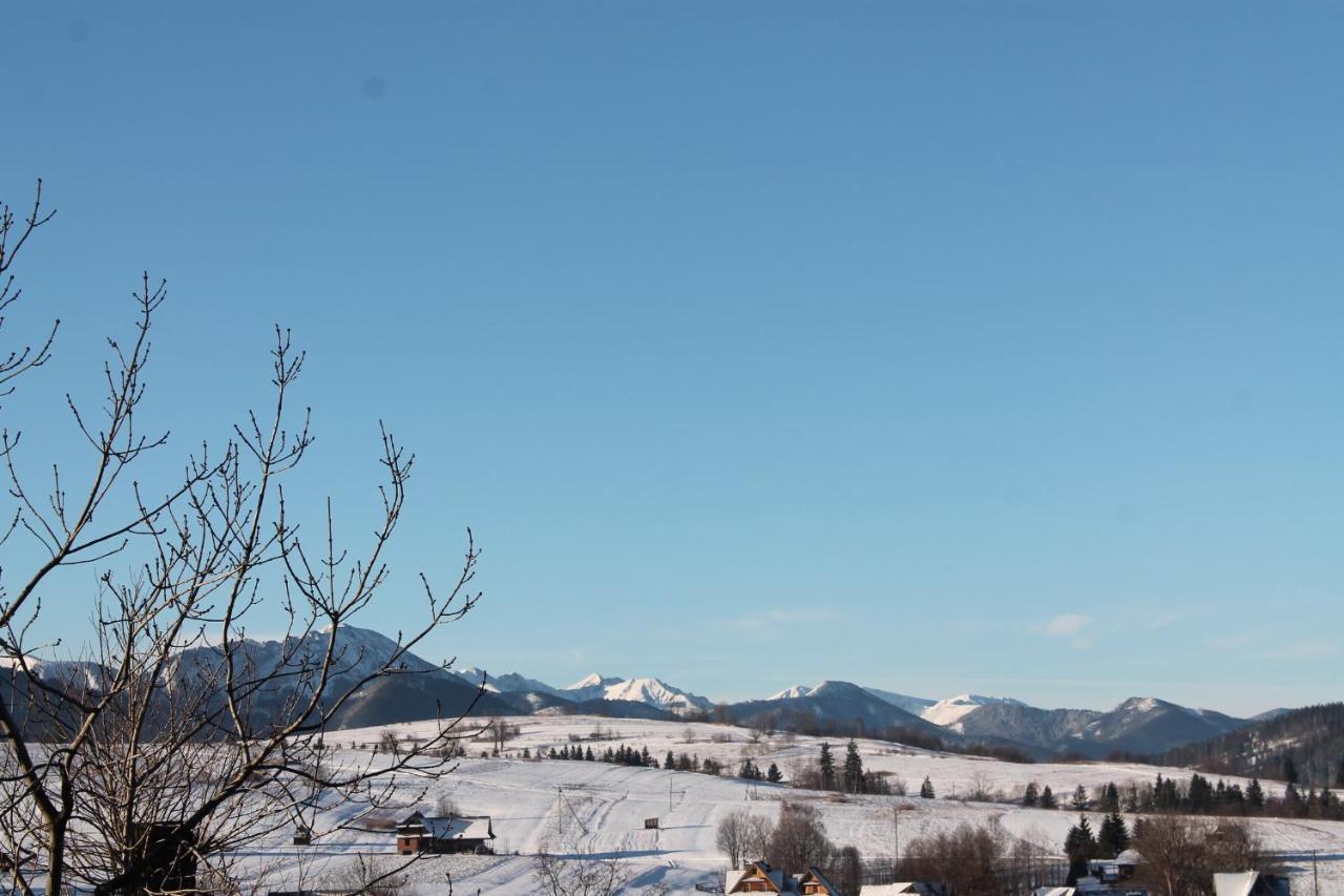 Willa Grzesiczek Zakopane Zewnętrze zdjęcie