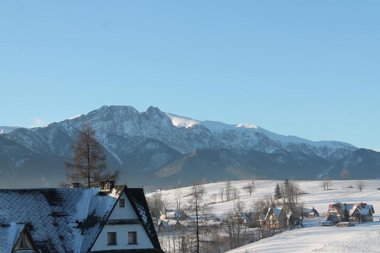 Willa Grzesiczek Zakopane Zewnętrze zdjęcie